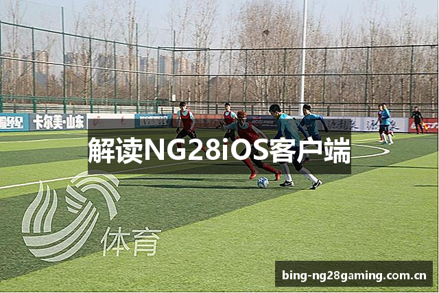 解读NG28iOS客户端